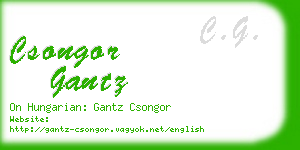 csongor gantz business card